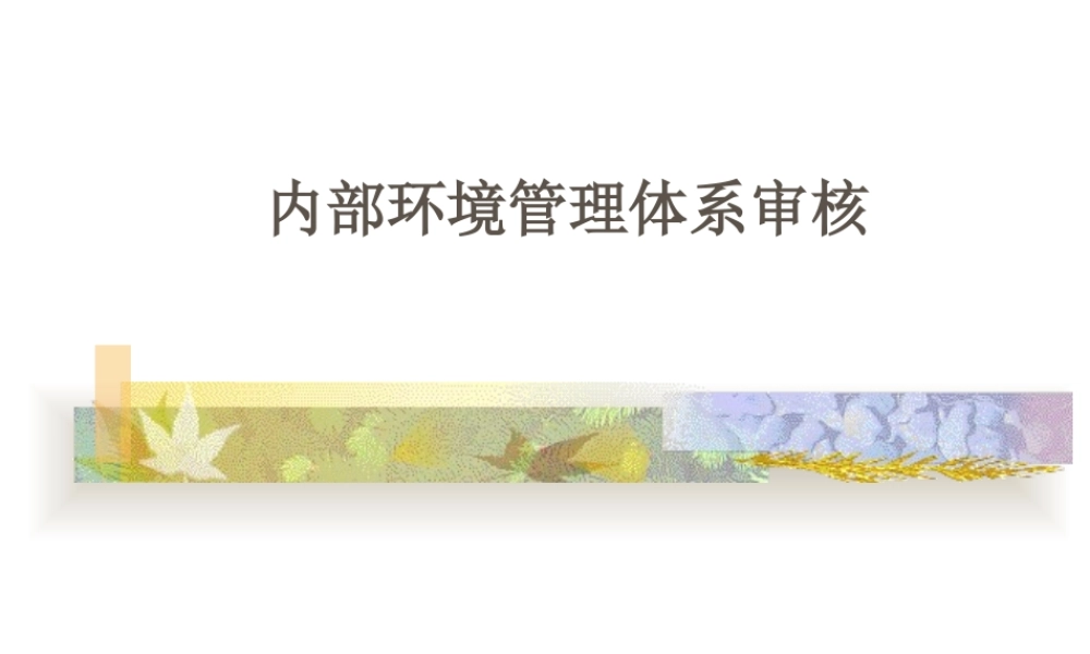 【培训课件】内部环境管理体系审核讲义