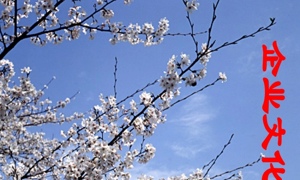 【培训课件】企业文化