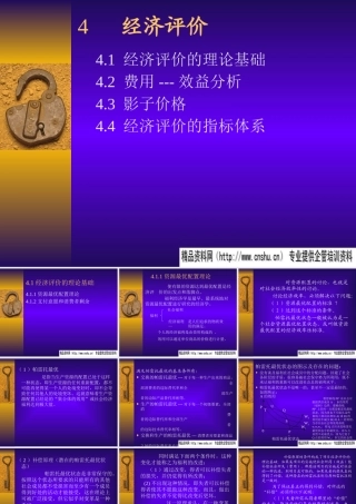 《西安交大MBA-项目的经济评价.ppt79》