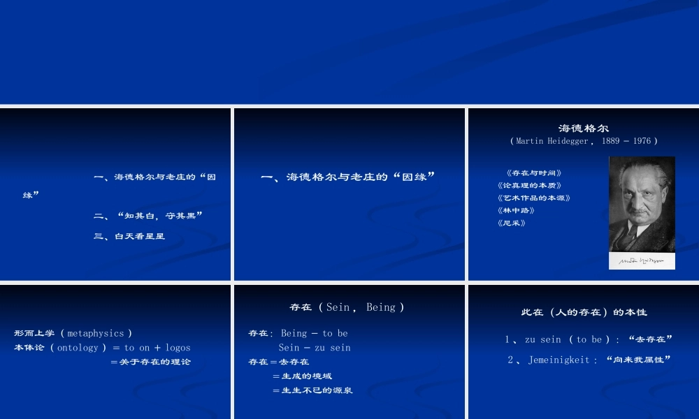 《西方哲学智慧》第十七讲海德格尔与老庄(XXXX)