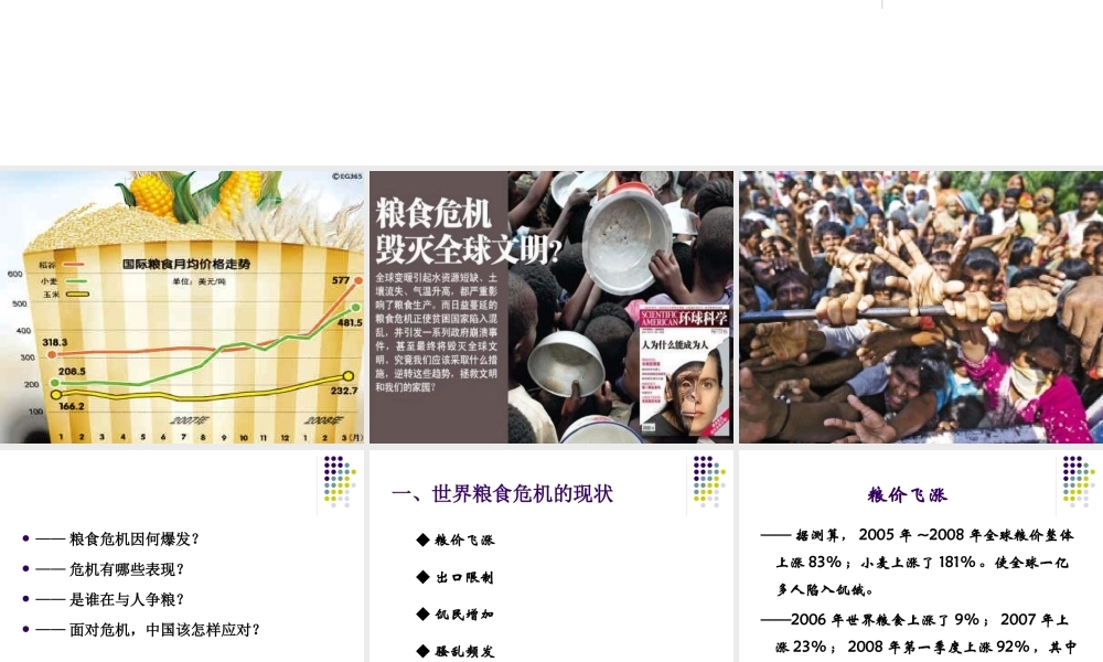 世界粮食危机(上课用稿)