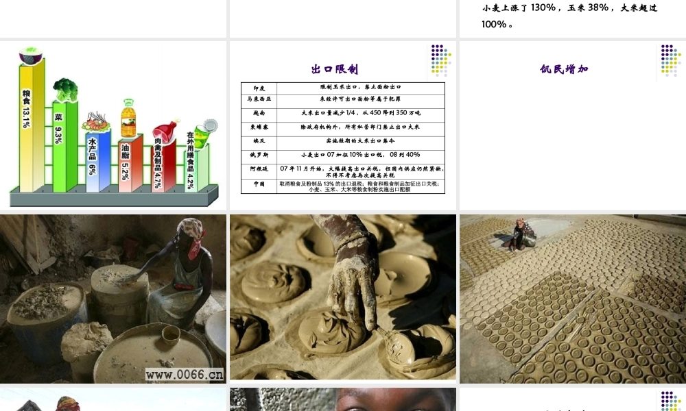 世界粮食危机(上课用稿)