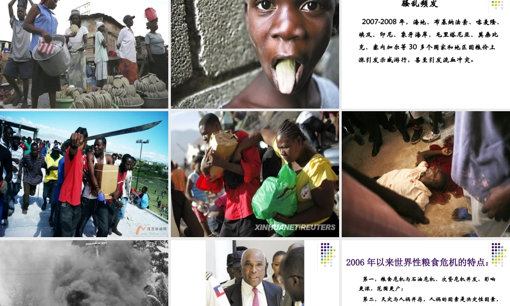 世界粮食危机(上课用稿)