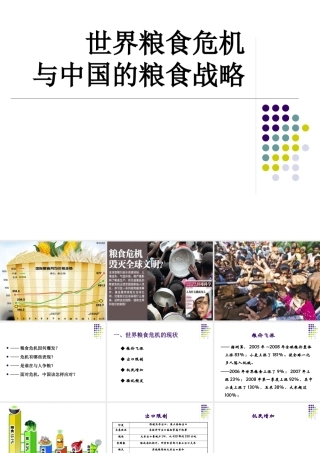 世界粮食危机(上课用稿)