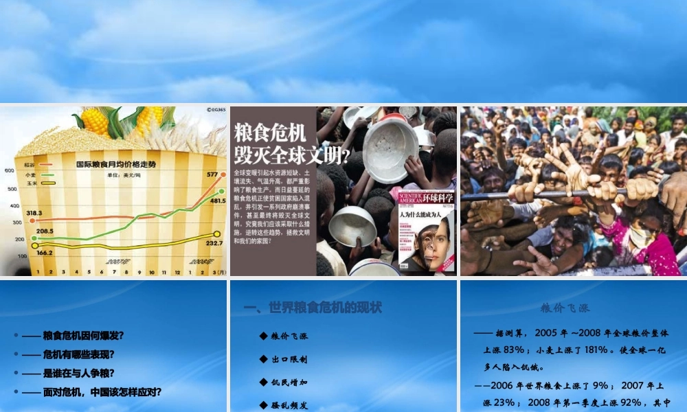 世界粮食危机与中国的粮食战略