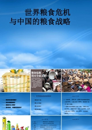 世界粮食危机与中国的粮食战略