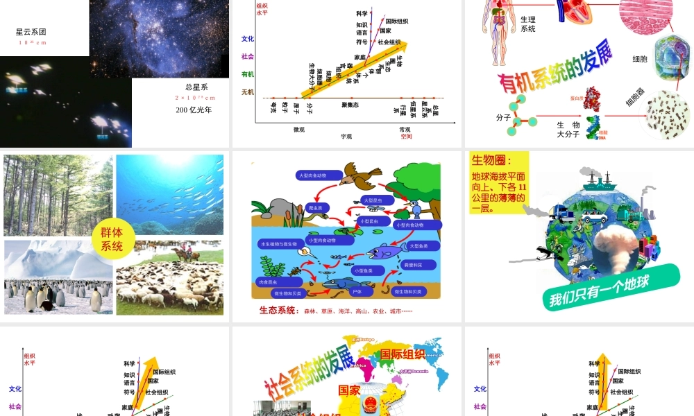 《系统思想与创新能力》