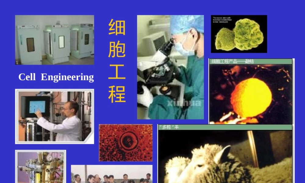 《细胞工程》第4章(3)动物细胞培养工程4