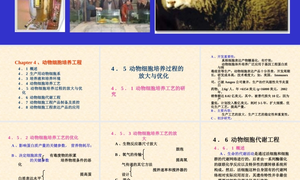 《细胞工程》第4章(3)动物细胞培养工程4