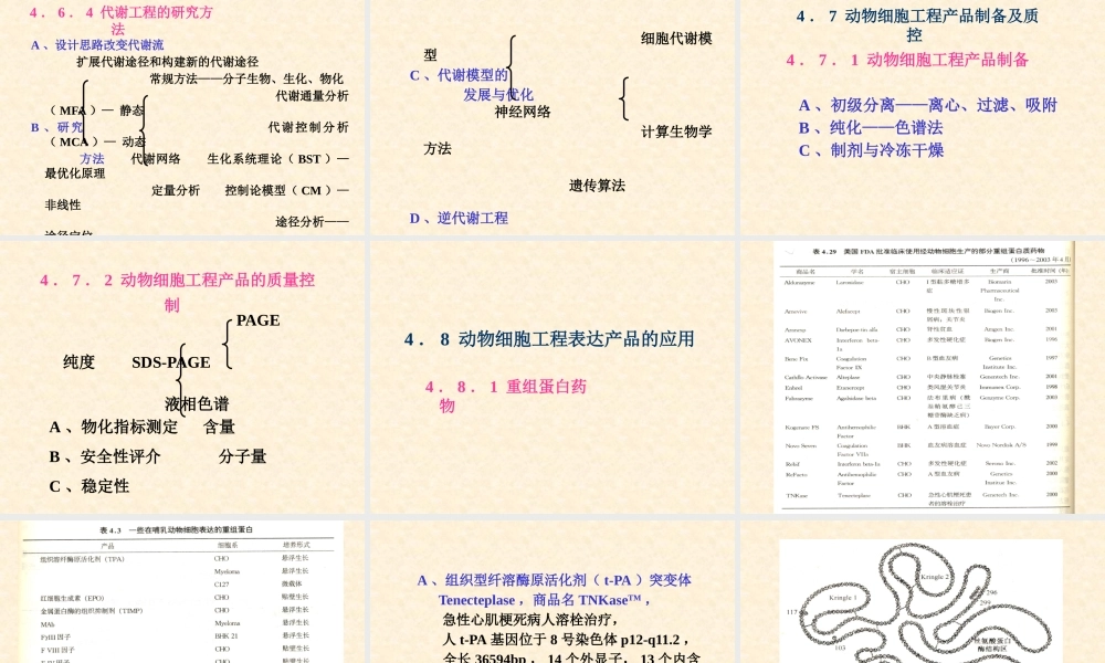 《细胞工程》第4章(3)动物细胞培养工程4