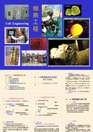 《细胞工程》第4章(3)动物细胞培养工程4