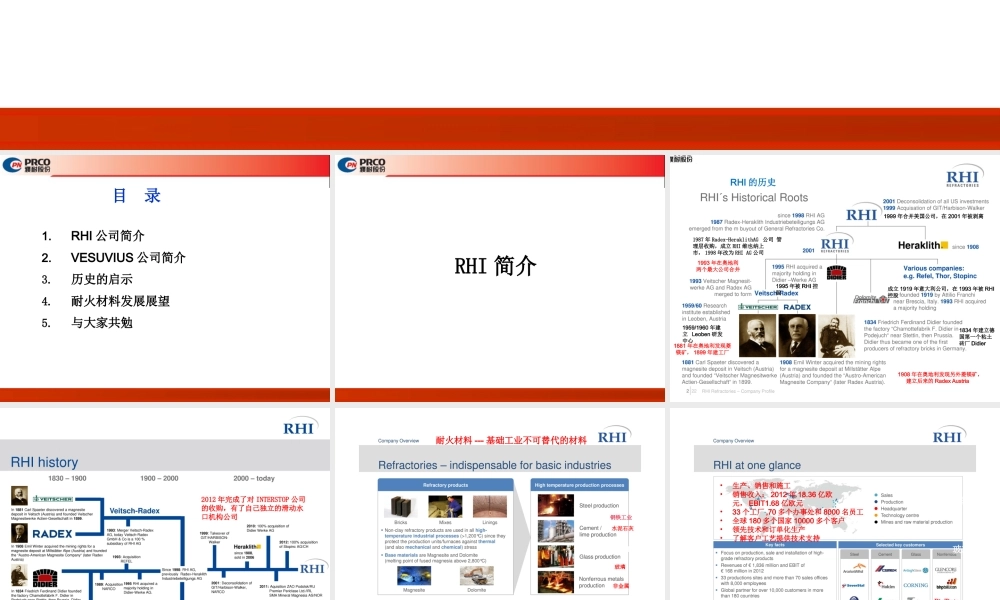 世界耐火材料发展与展望XXXX(北科大)2