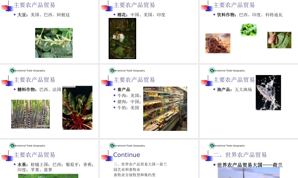 世界农产品贸易地理概述