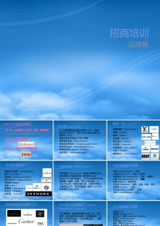 世界品牌代理机构
