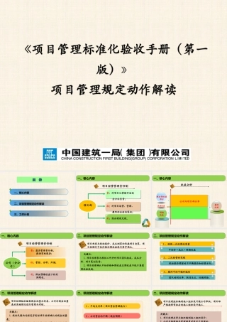 《项目管理标准化验收手册(第一版)》项目管理规定动作
