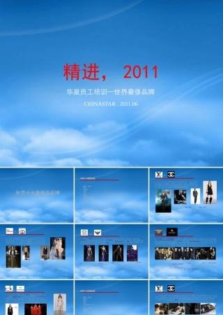 世界十大奢侈品品牌概述