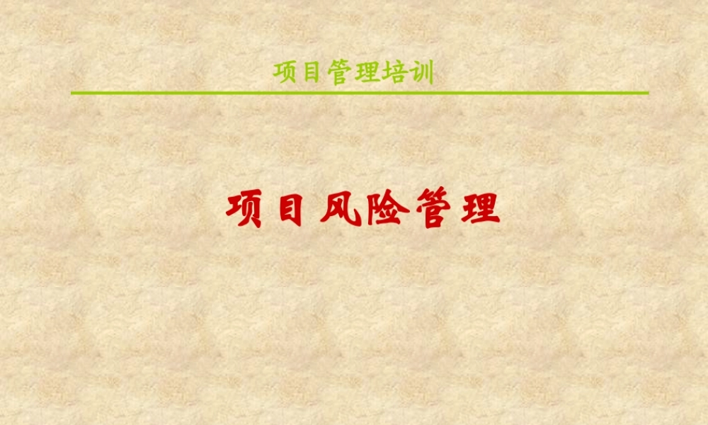 【培训课件】项目风险管理