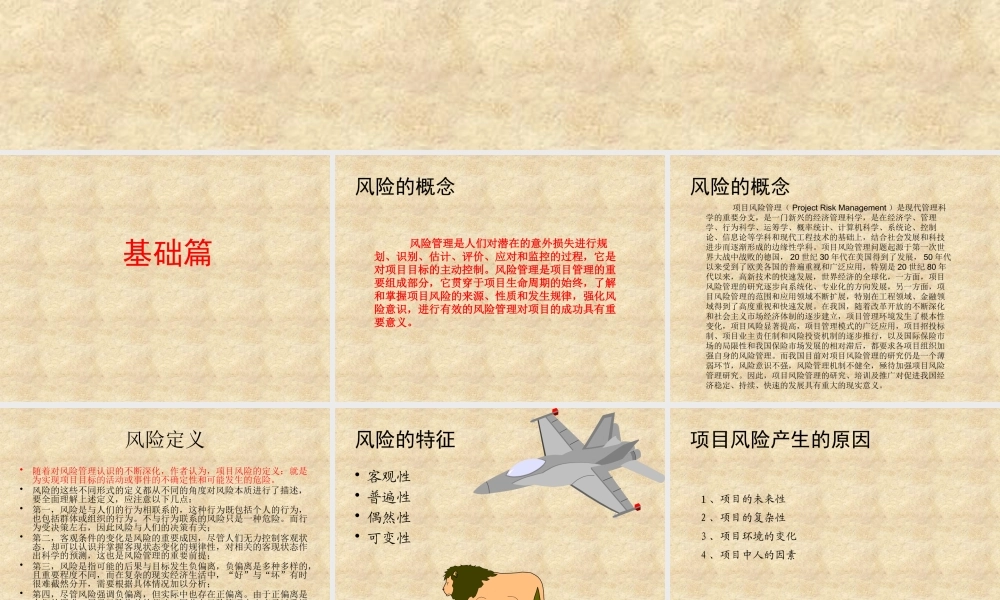 【培训课件】项目风险管理
