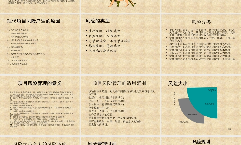 【培训课件】项目风险管理