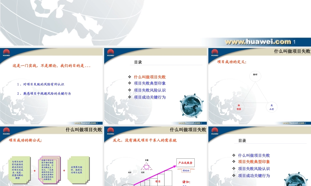 《项目失败的风险初探》