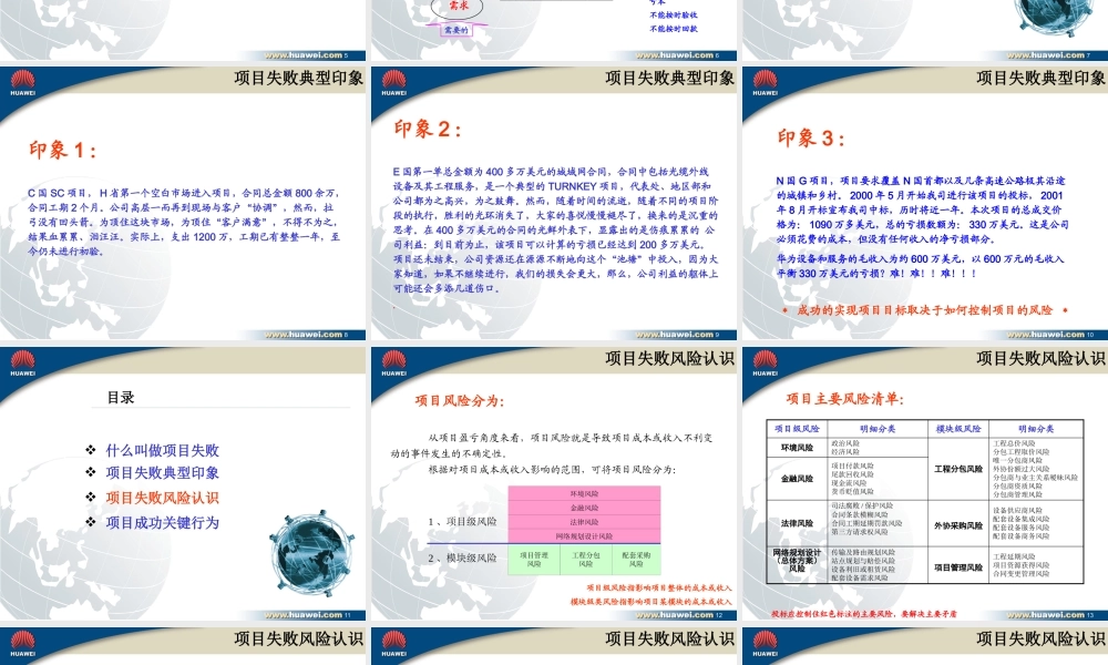 《项目失败的风险初探》