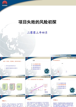 《项目失败的风险初探》