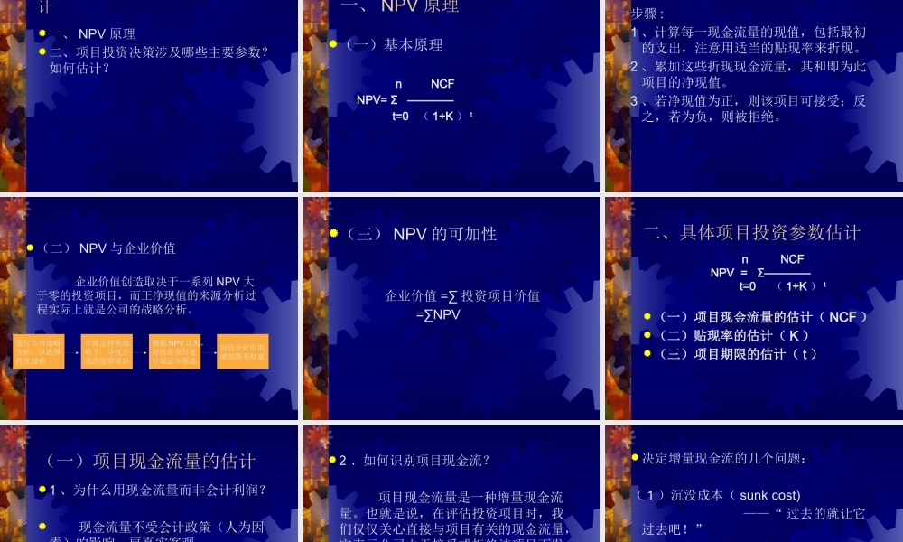 《项目投资决策与资本预算》(1)