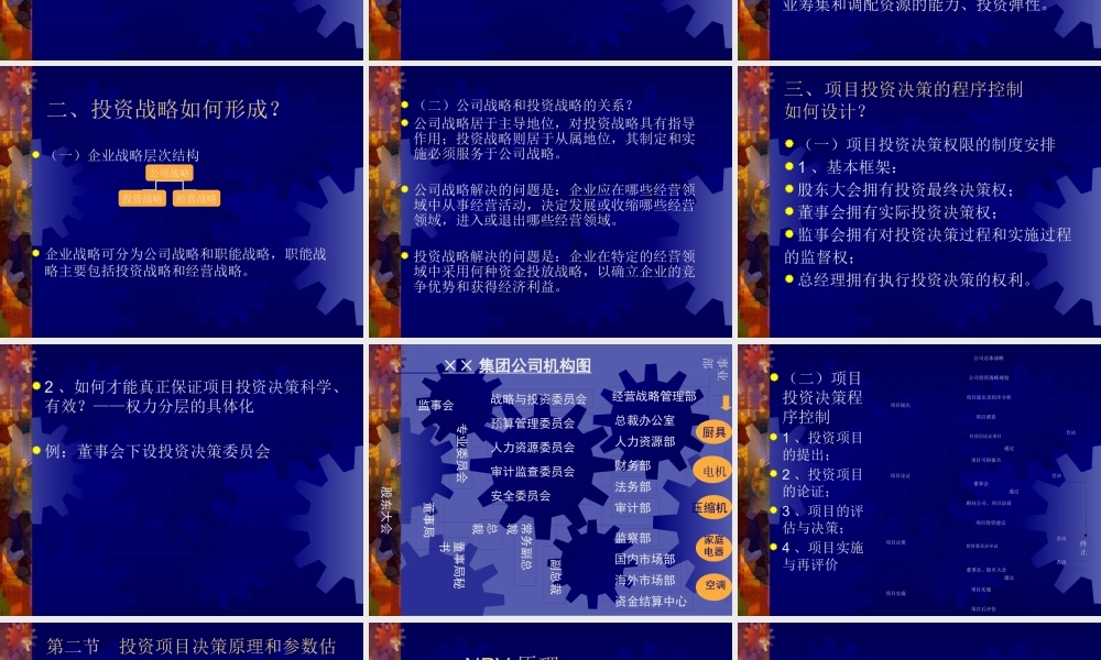 《项目投资决策与资本预算》