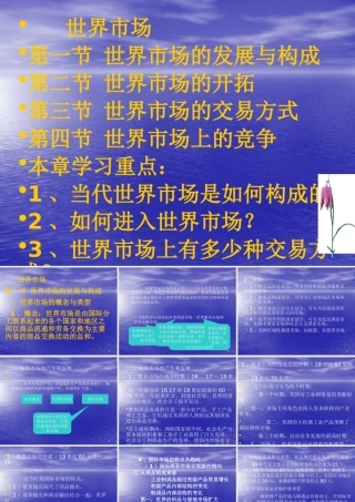 世界市场的发展与构成