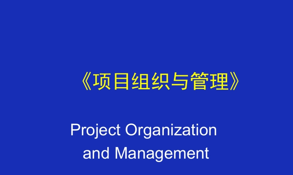《项目组织与管理》
