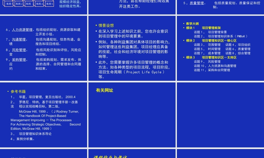 《项目组织与管理》