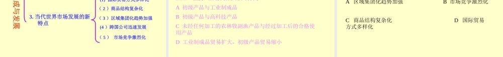 世界市场的形成与发展(ppt 23)