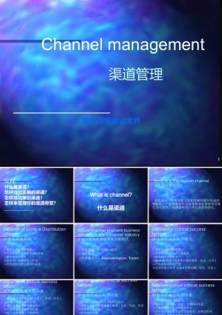 《消费电子产品渠道管理》(PPT38)