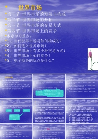 世界市场--世界市场的发展与构成(ppt 147)