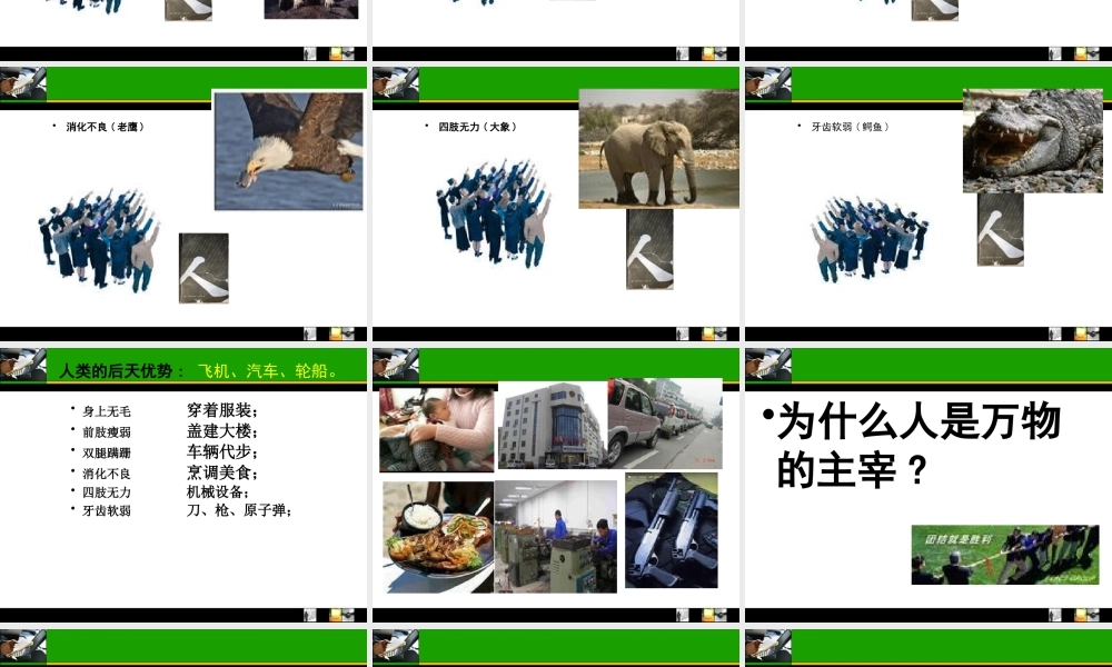 【培训课件】赢在中层-打造高绩效的执行团队