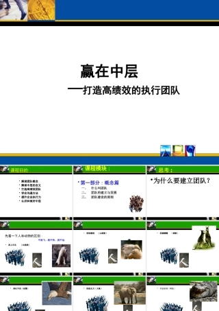 【培训课件】赢在中层-打造高绩效的执行团队