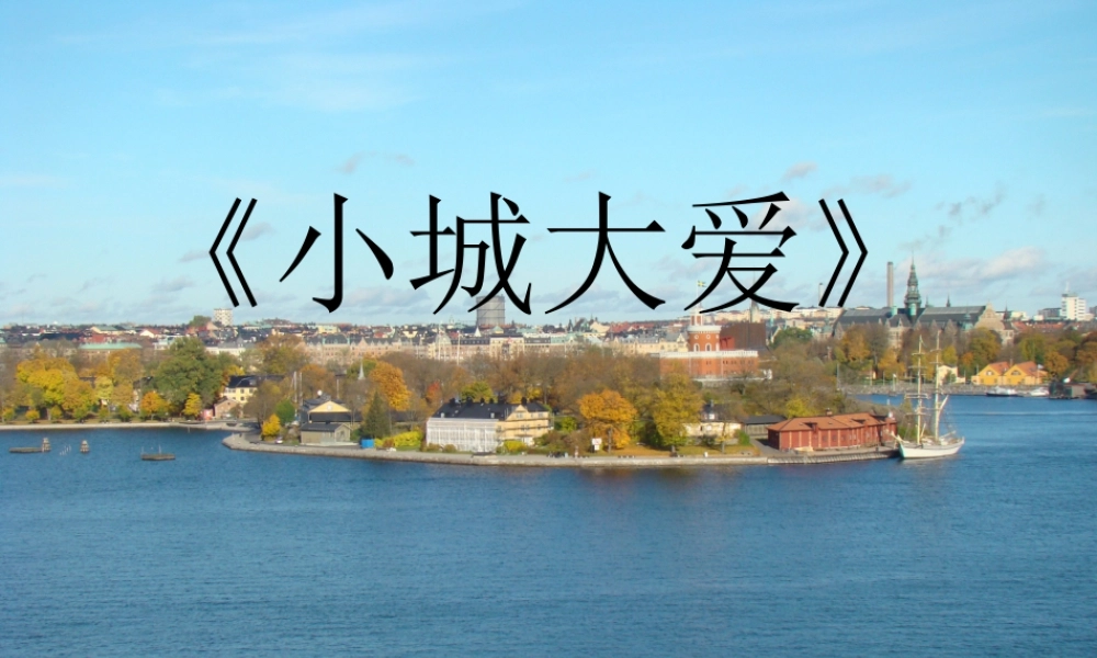 《小城大爱》节目策划