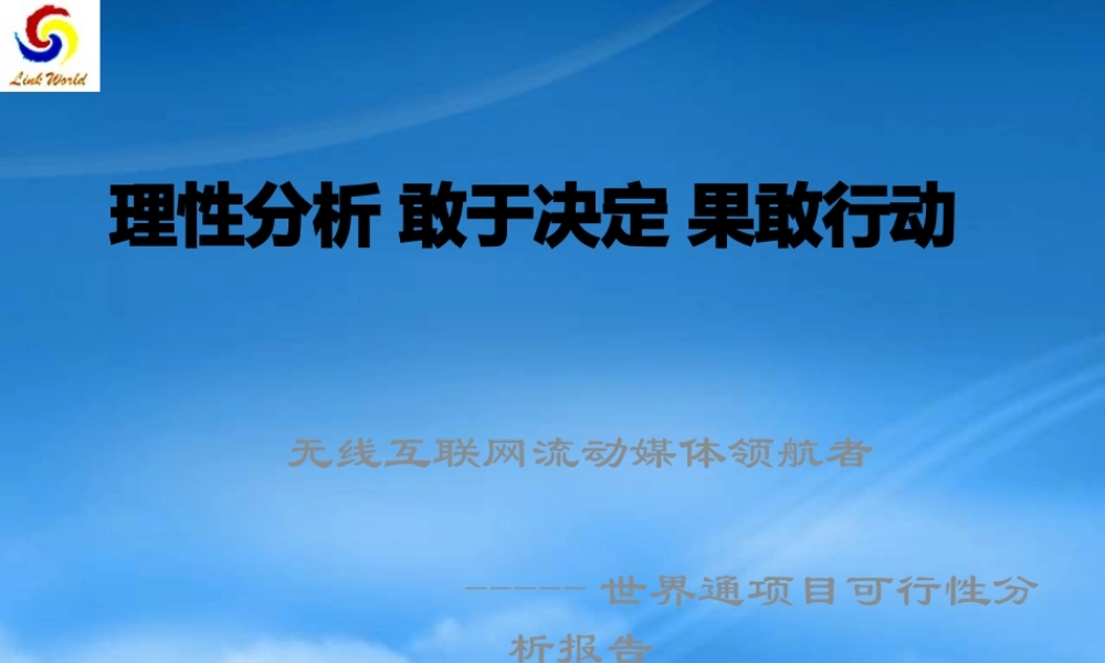 世界通项目可行性分析报告