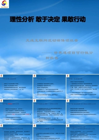 世界通项目可行性分析报告