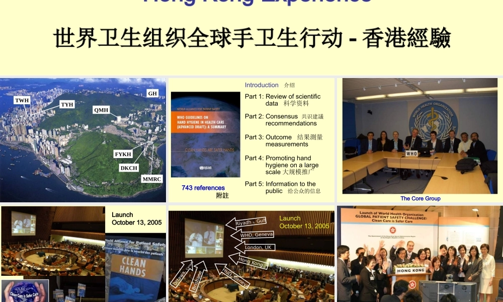 世界卫生组织全球手卫生行动-香港经验