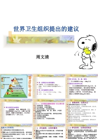 世界卫生组织提出的建议2