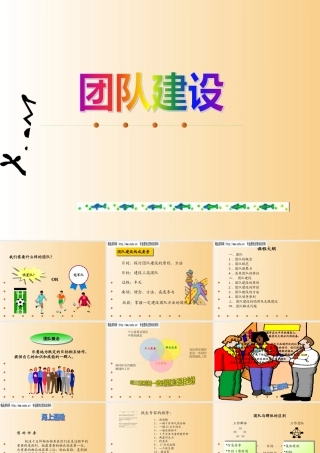 《新团队建设》(2)