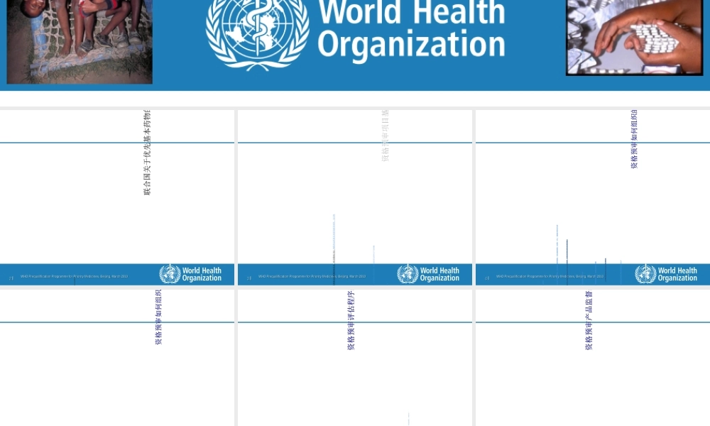 世界卫生组织资格预审项目研讨