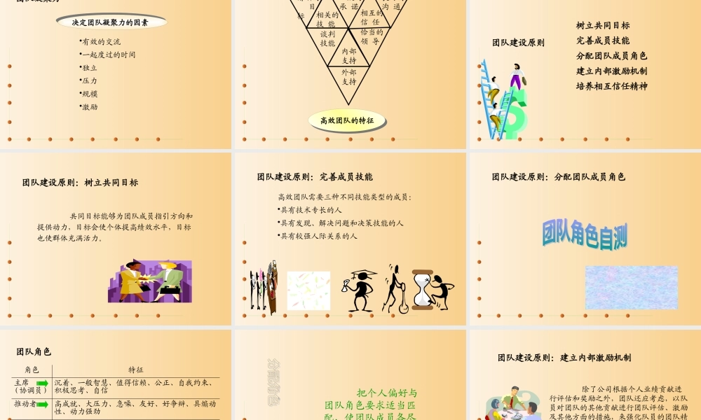 《新团队建设》(4)