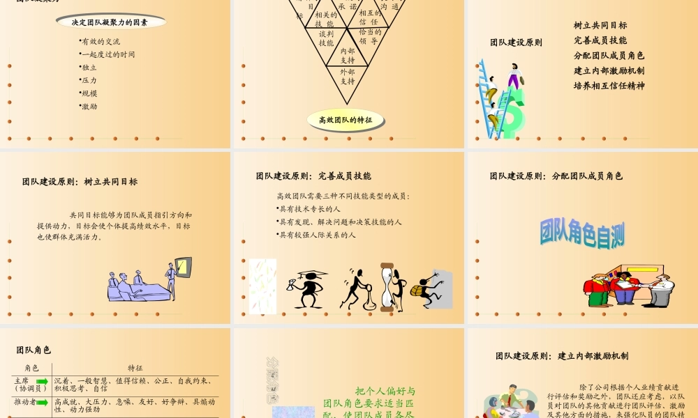 《新团队建设》