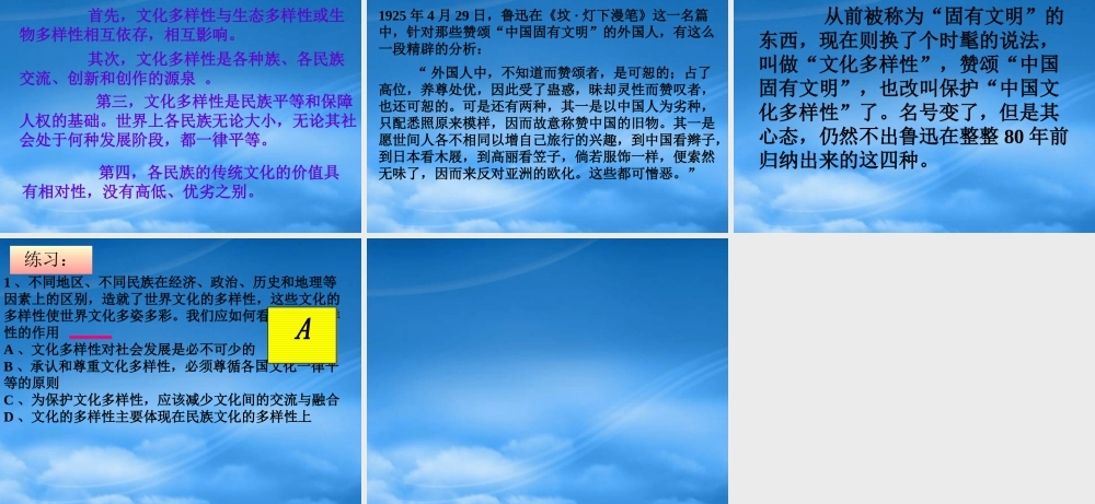 世界文化的多样性