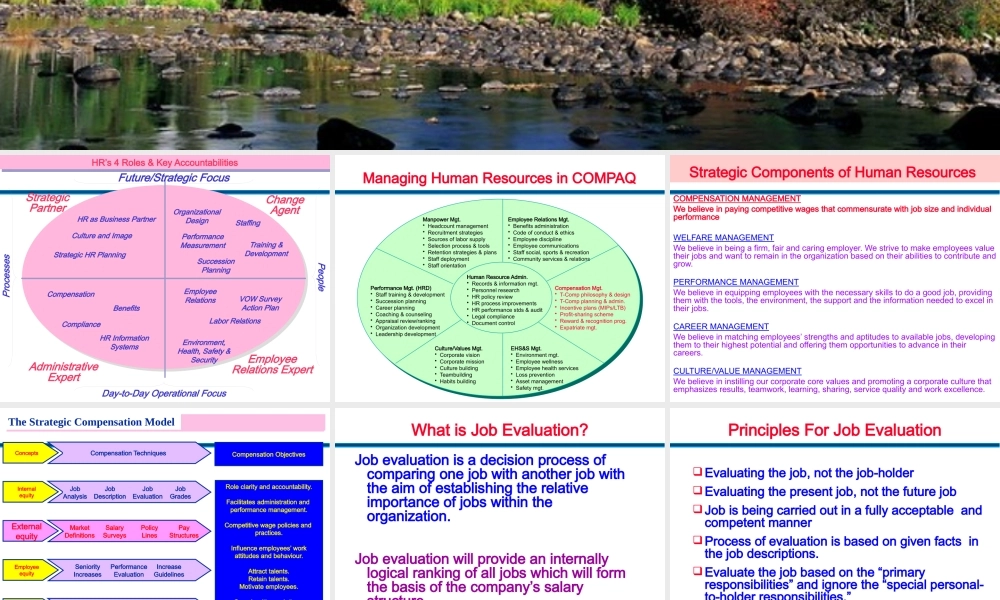 《薪酬管理的工具和技术》(英文版)