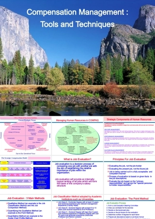 《薪酬管理的工具和技术》(英文版)