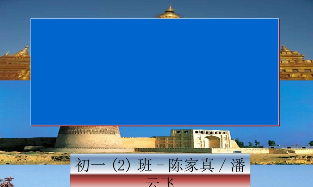 世界文化习俗概况