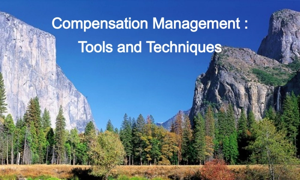 《薪酬管理的工具和技术》(英文版)_2